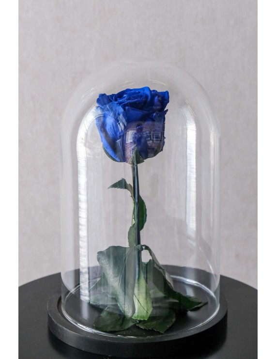 μπλε preserved τριαντάφυλλο